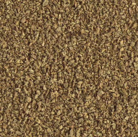 Tetra Delica Brine Shrimps