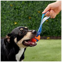 Chuckit! Ultra Tug strapabíro gumilabda hevederrel kutyáknak #4