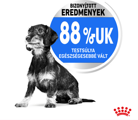 Royal Canin Mini Light Weight Care - Száraz táp hízásra hajlamos, kistestű felnőtt kutyák részére