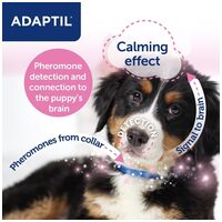 Adaptil Junior feromonos nyugtató nyakörv #4