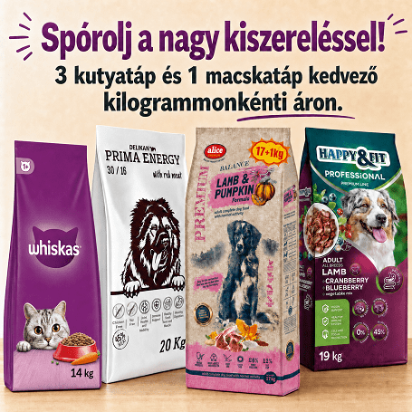 Nagyzsákos kutya- és macskatáp: így válassz jól nagy kiszerelést