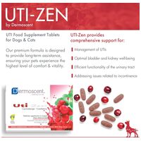 Dermoscent Uti-Zen kutyáknak és macskáknak #4