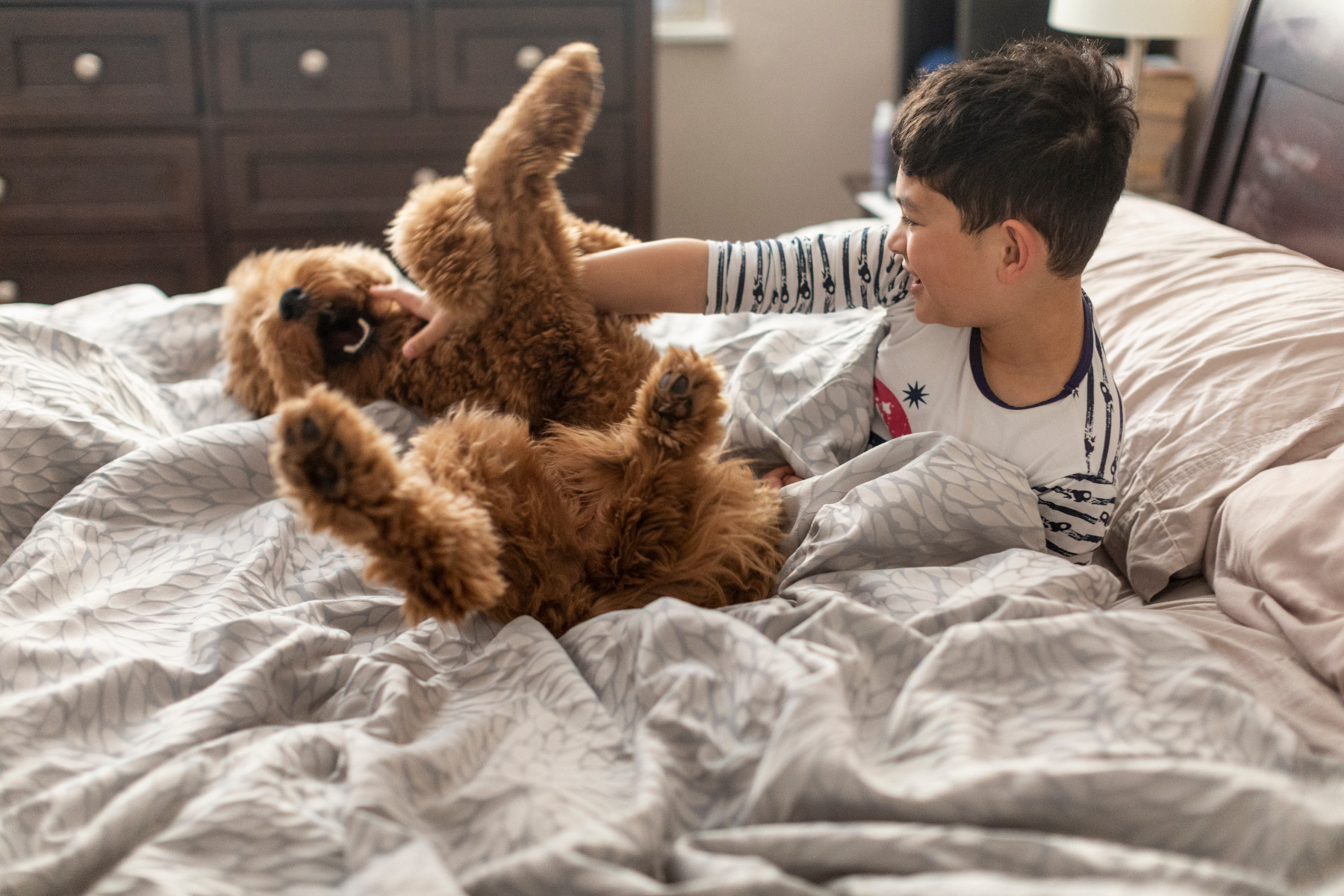 Goldendoodle gyerekbarát kutya