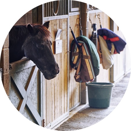 Istálló gondozás