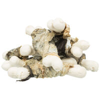 Trixie Premio Fishies mit Weißfisch | Fehérhalas jutalomfalatok kutyáknak #3