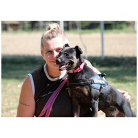 Robin, ivartalanított lányka gazdit keres #9