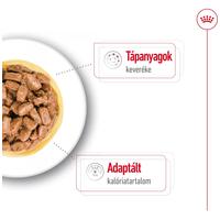 Royal Canin Mini Ageing  | Nedves táp kistestű idős kutya részére #8