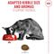 Royal Canin Fussy - válógatós macskák részére