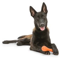 West Paw Hurley - Tartós rágóbot #7