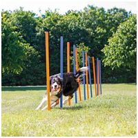 Trixie Dog Activity agility szlalom szett