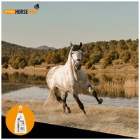 Horsemed SOS sebápoló spray lovaknak #2