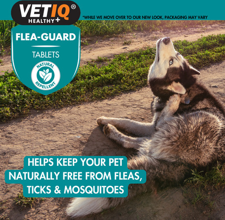 Vetiq Flea Guard élősködők elleni tabletta