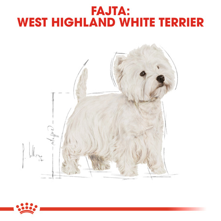 Royal Canin West Highlander White Terrier Adult - West Highlander White Terrier felnőtt kutya száraz táp