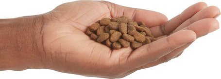 Orijen Fit & Trim Cat - Diétás macskatáp