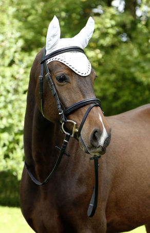 Covalliero Classic fülvédő lovaknak