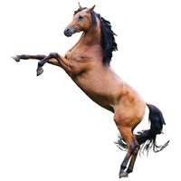 Equimins Flexijoint - Gheara diavolului lichid de sustinere a articulatiilor pentru cai