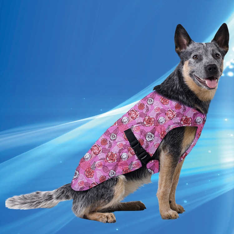 Aqua Coolkeeper jachetă de răcire pentru câini împotriva supraîncălzirii de vară | Diferite mărimi - zoom