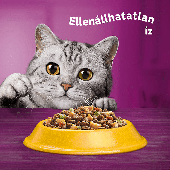 Whiskas - Hrană uscată pentru pisici adulte, cu pui şi legume - zoom