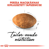 Royal Canin Persian Adult - Perzsa felnőtt macska száraz táp #3