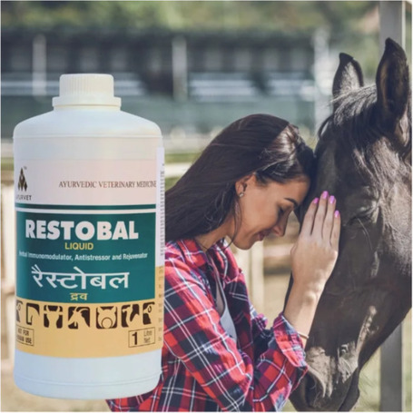 Restobal stressz elleni, immunerősítő itatófolyadék