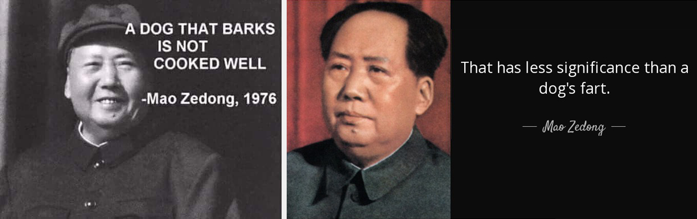 Mao Zedong a kutyák ellen