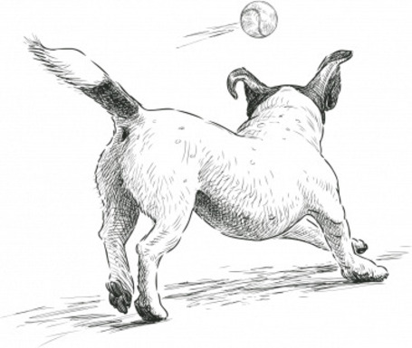 Aport Premium Adult kutyatáp