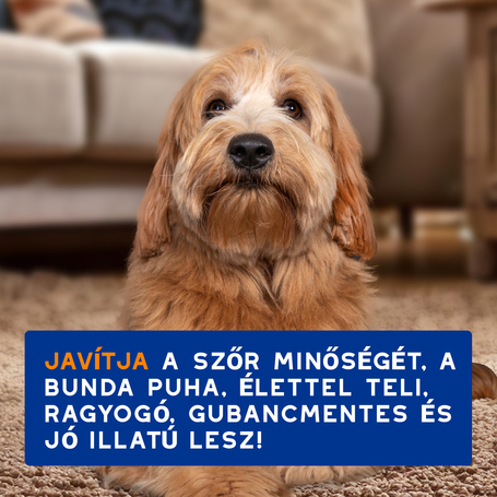 Douxo Spa gubancoldó spray kutyáknak