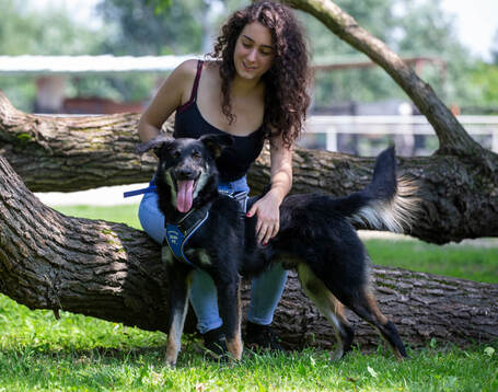 Marcell, 5 éves kan