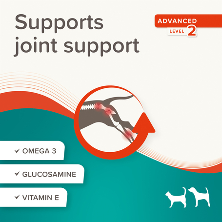 Beaphar Flexifit paszta kutyáknak