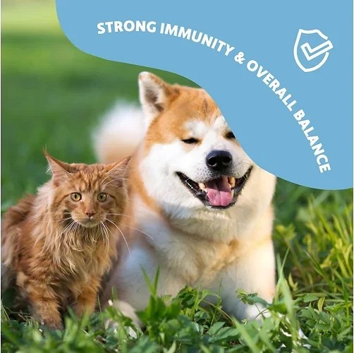 Fürree Immunity Complex pudră imunitate 100 g - zoom
