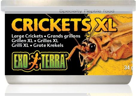 Exo Terra Crickets XL – Puhára főzött nagy tücskök hüllőknek