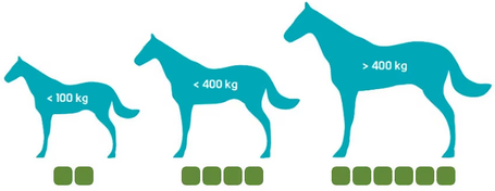 Geloren Horse ízületvédő lovaknak