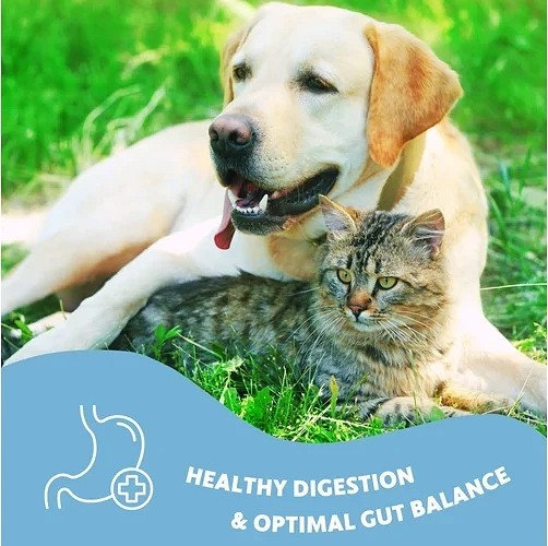 Fürree Digestion Complex emésztést támogató por 100 g