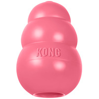 Kong Puppy Harang #2