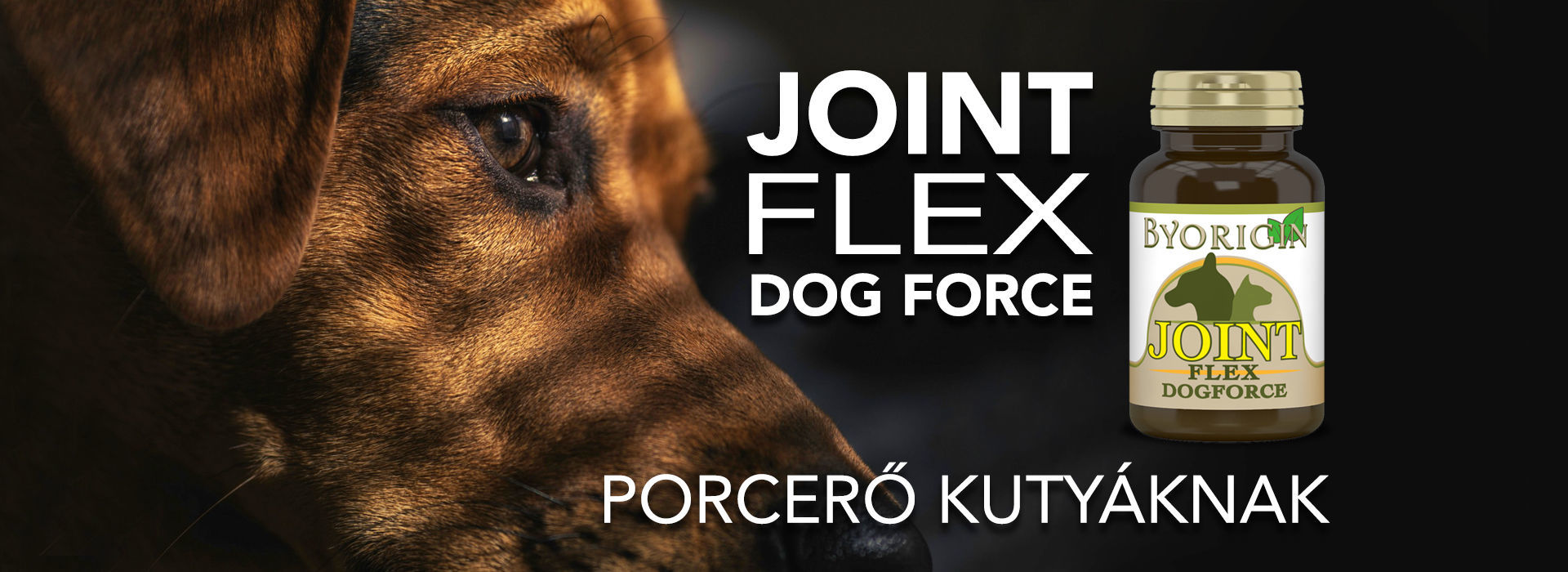 ByOrigin JointFlex ízületerősítő rágótabletta kutyáknak