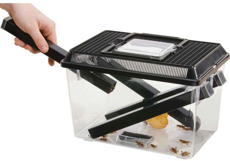 Exo Terra Cricket Pen – Tücsökadagoló barlang