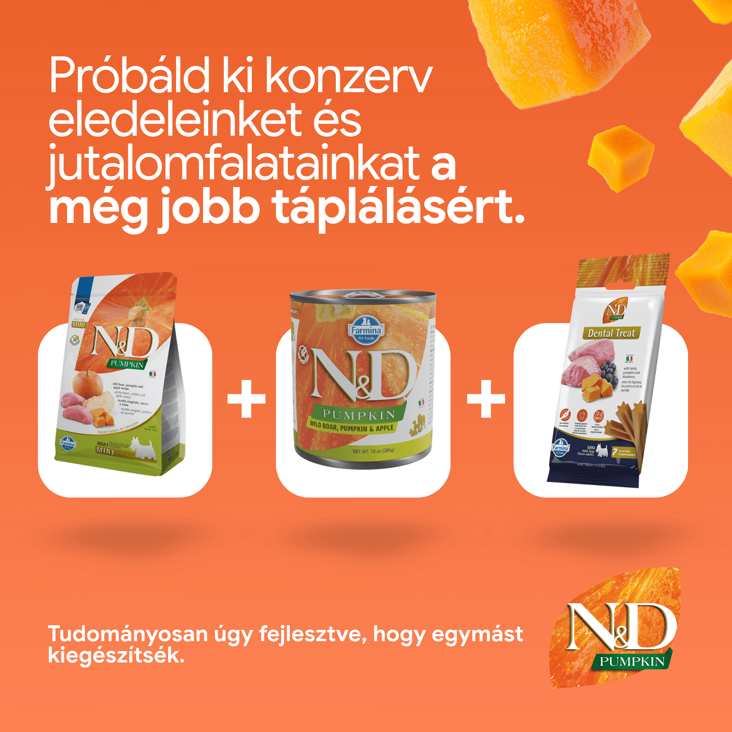 N&D Dog Grain Free Adult Mini sütőtök, vaddisznó & alma