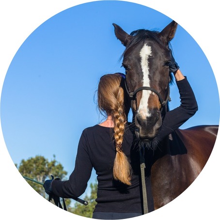 Edzéshez, bemelegítéshez lovaknak