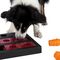 Trixie Dog Activity Chess Strategy játék kutyáknak