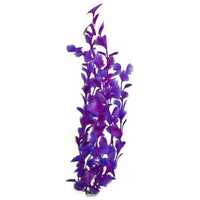 Plante de acvariu cu tulpini lungi căzute de culoare violet și albastru