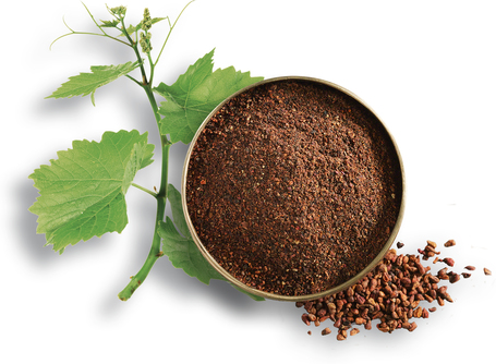 Leonardo Adult Duck kacsahúsos és rizses szárazeledel