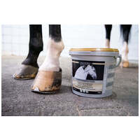 Equistro Chrysanphyton pellet savós patairha-gyulladás és patahenger gyulladás kezelésére #2