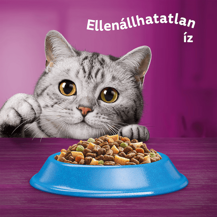 Whiskas - Hrană uscată pentru pisici adulte, cu ton - zoom