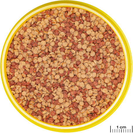 JBL ProNovo Color Grano színfokozó granulátum (Click)