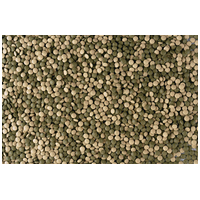 Tetra Pleco Tablets díszhal táptabletta növényevőknek #11