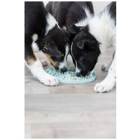 Trixie Junior Licking Plate - Evéslassító gumi tál kölyökkutyáknak #4