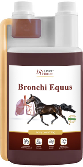 Over Horse Bronchi Equus