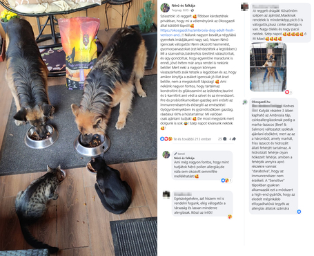 Ambrosia Dog Grain Free Senior, Light & Sterilized