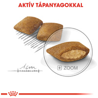 Royal Canin Mini Exigent - Válogatós felnőtt kistestű kutya száraz táp #3