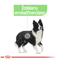 Royal Canin Medium Digestive Care - Száraz táp érzékeny emésztésű, közepes testű felnőtt kutyák részére #2